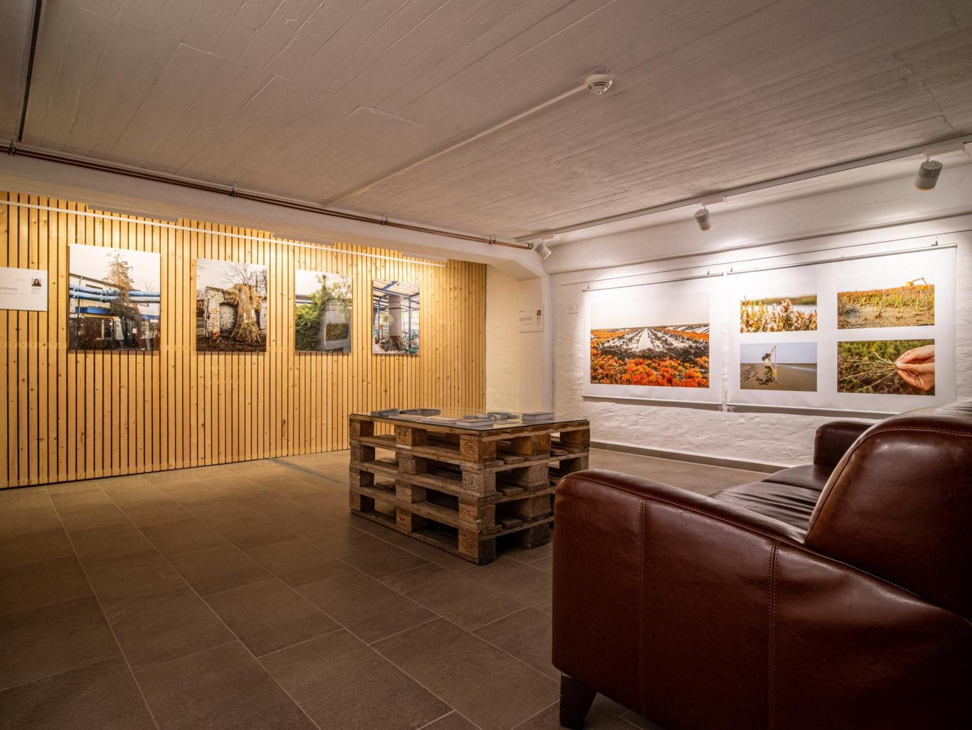 Hotel Stone Zingst Dış mekan fotoğraf